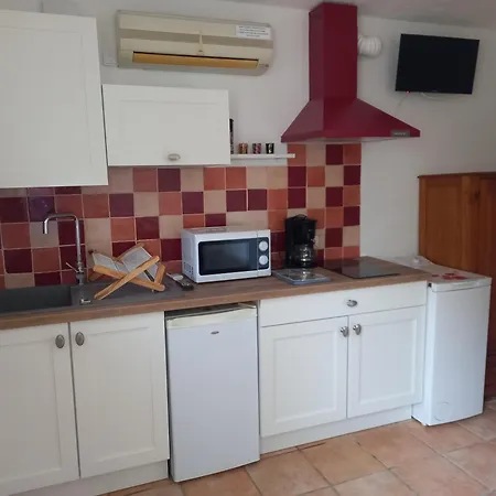 公寓 1 Piece 16 M2 Climatise 2 Personnes Piscine Partagee 维琪奥港