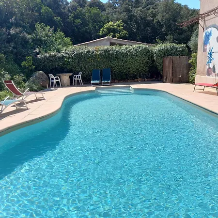 1 Piece 16 M2 Climatise 2 Personnes Piscine Partagee * Porto-Vecchio (Corsica)