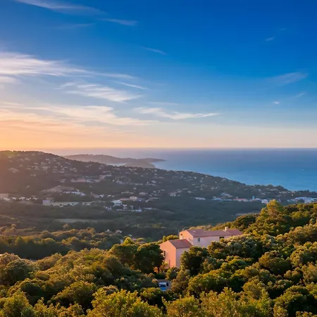 1 Piece 16 M2 Climatise 2 Personnes Piscine Partagee * Porto-Vecchio (Corsica)